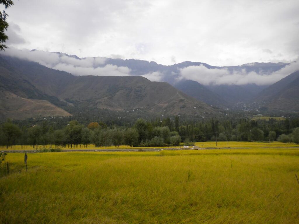 AskDushyant coolest place where i want my sweet home sonmarg road trip to kashmir valley 2009