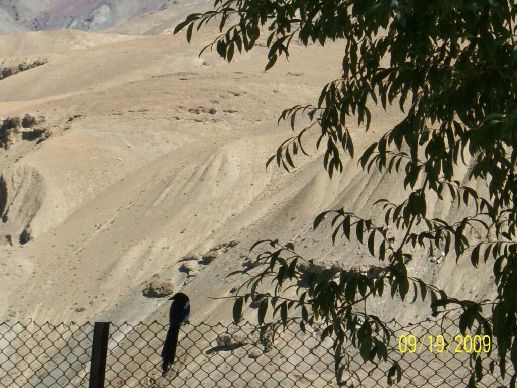 AskDushyant mulbekh wakha bodhkharboo road trip to kargil valley 2009 6