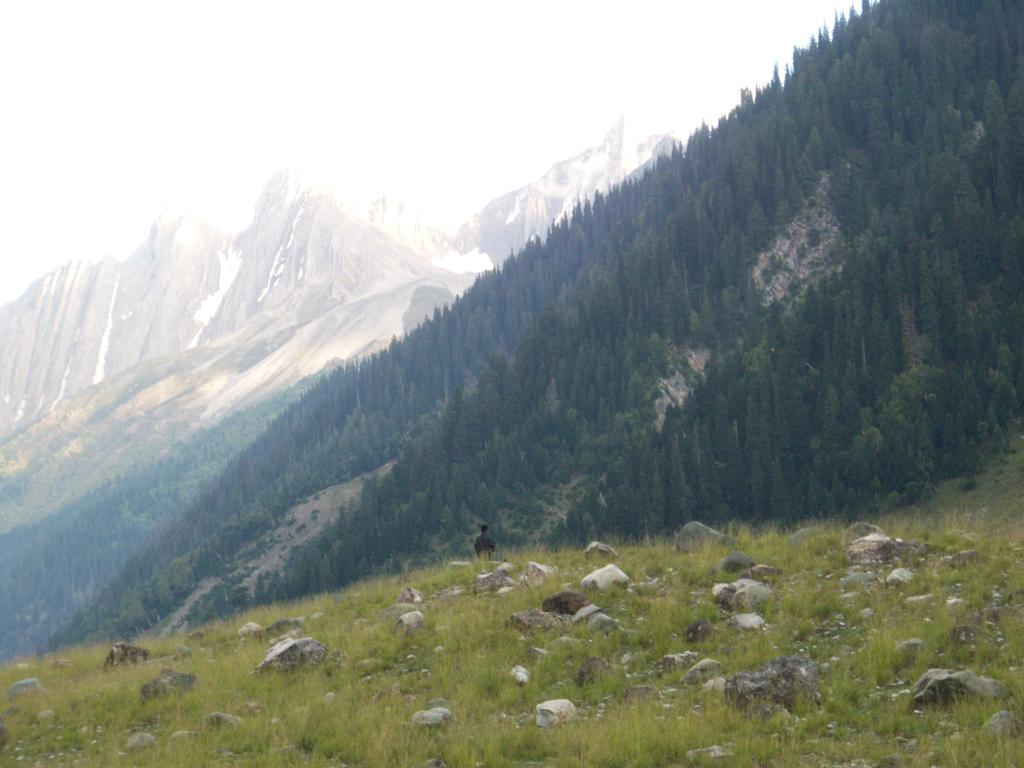 AskDushyant night camp at sonmarg road trip to kashmir valley 2009 9