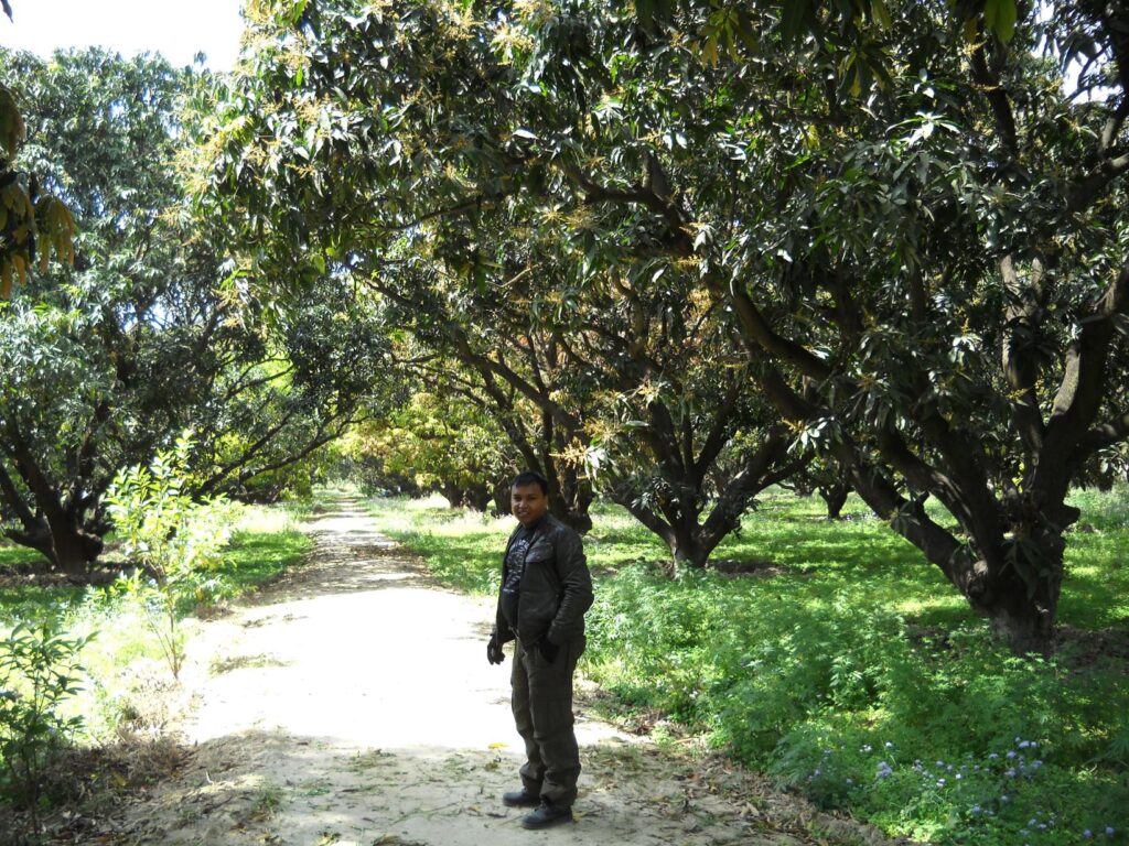 AskDushyant aam bagan mango garden a memorable trip to nainital ranikhet n nepal Year 2011 1