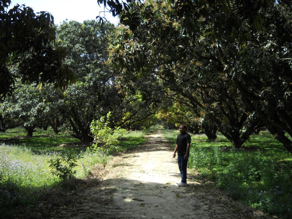 AskDushyant aam bagan mango garden a memorable trip to nainital ranikhet n nepal Year 2011