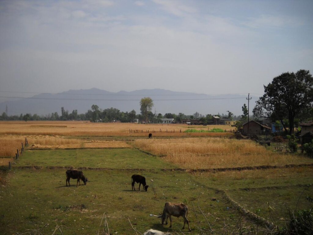 AskDushyant beautiful farmland crossed the india nepal border now in nepal nepal bike trip via nainital and tanakpur extremely adventurous crossing the border Year 2011