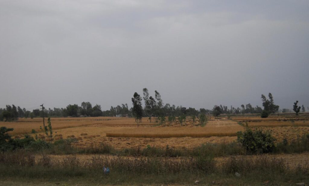 AskDushyant beautiful farmland way to rudrapur returning from nepal bike trip via nainital and rudrapur extremely adventurous Year 2011 1