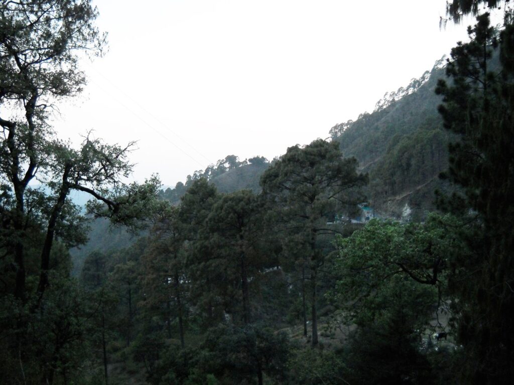 AskDushyant beauty of nainital region a memorable trip to nainital ranikhet n nepal Year 2011