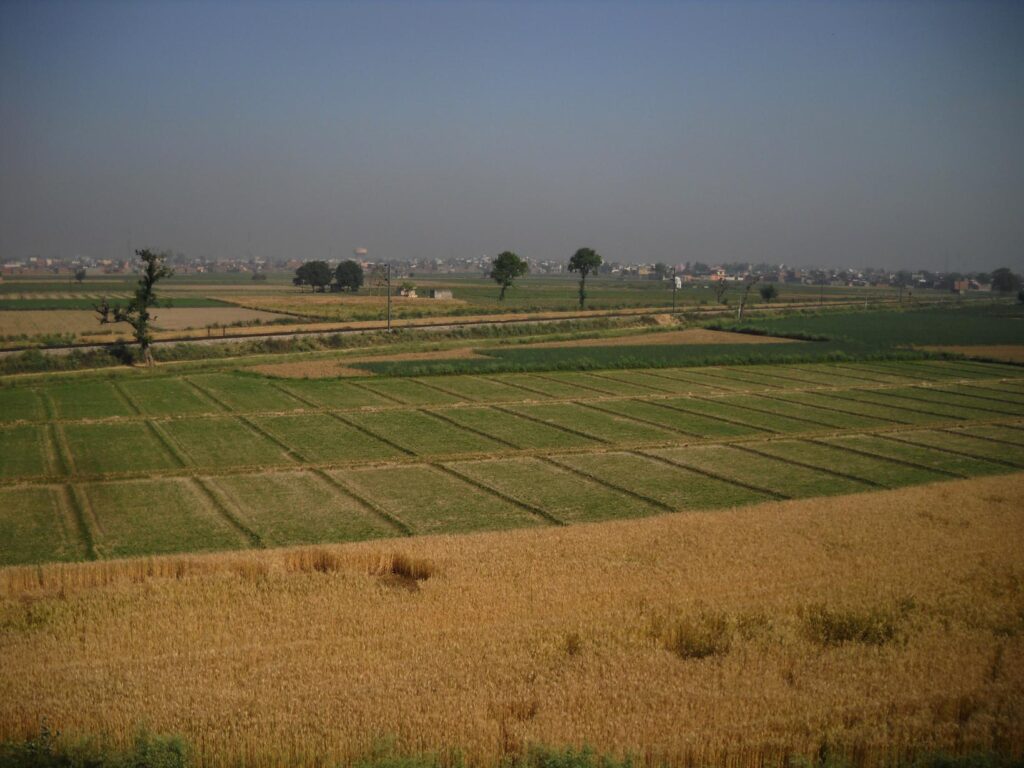 AskDushyant country side and beautiful farmland a memorable trip to nainital ranikhet n nepal Year 2011 1