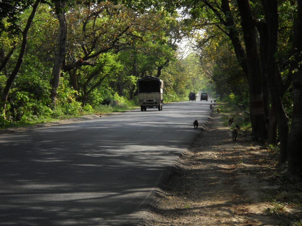 AskDushyant even monkeys had their good time a memorable trip to nainital ranikhet n nepal Year 2011