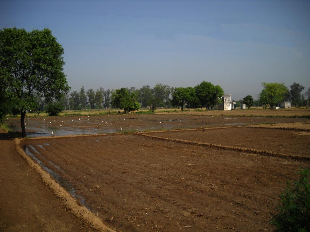 AskDushyant farmland along the national highway a memorable trip to nainital ranikhet n nepal Year 2011 1