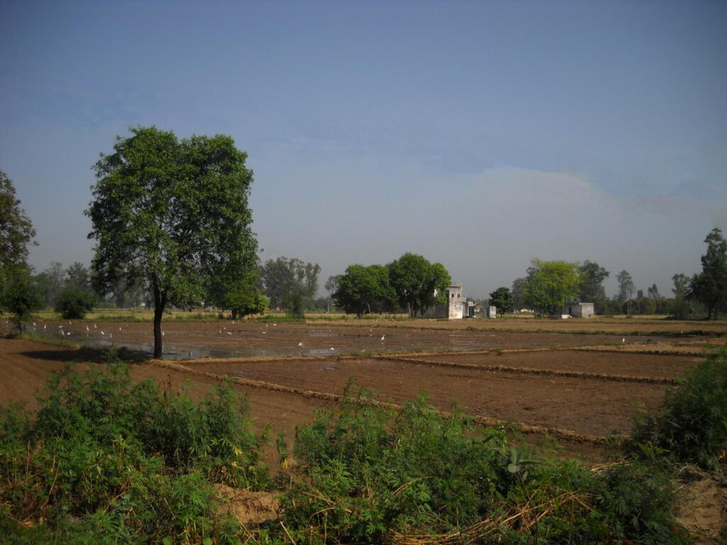 AskDushyant farmland along the national highway a memorable trip to nainital ranikhet n nepal Year 2011