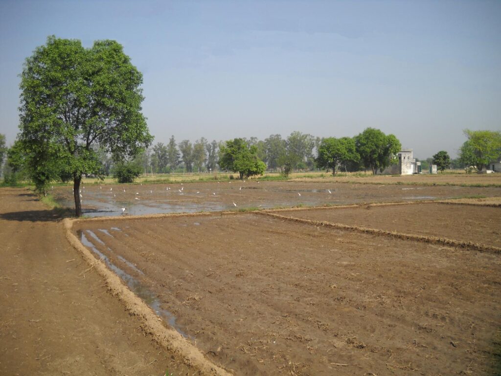 AskDushyant farmland along the national highway a memorable trip to nainital ranikhet n nepal Year 2011 2