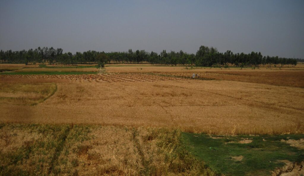 AskDushyant farmland of far away from delhi a memorable trip to nainital ranikhet n nepal Year 2011 1