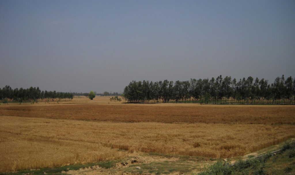 AskDushyant farmland of far away from delhi a memorable trip to nainital ranikhet n nepal Year 2011