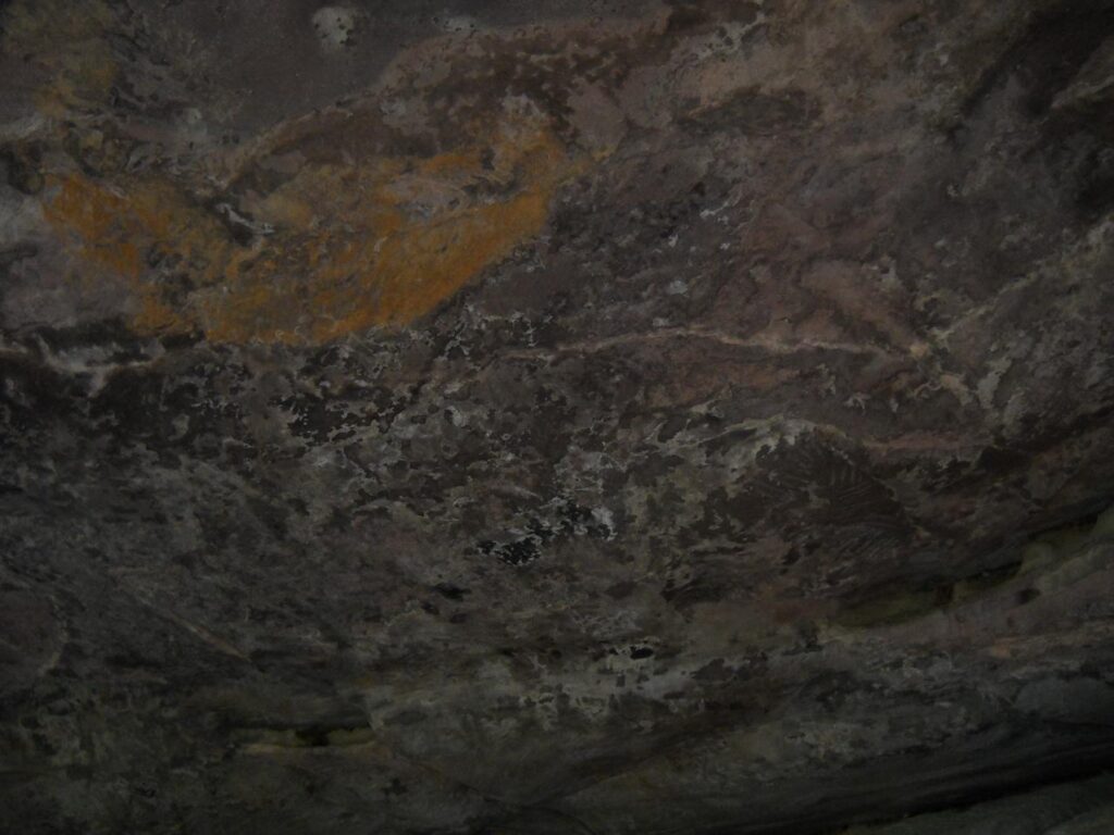 AskDushyant horse rock painting bhimbetka an archaeological treasure of ancient india road trip to bhimbetka Year 2009