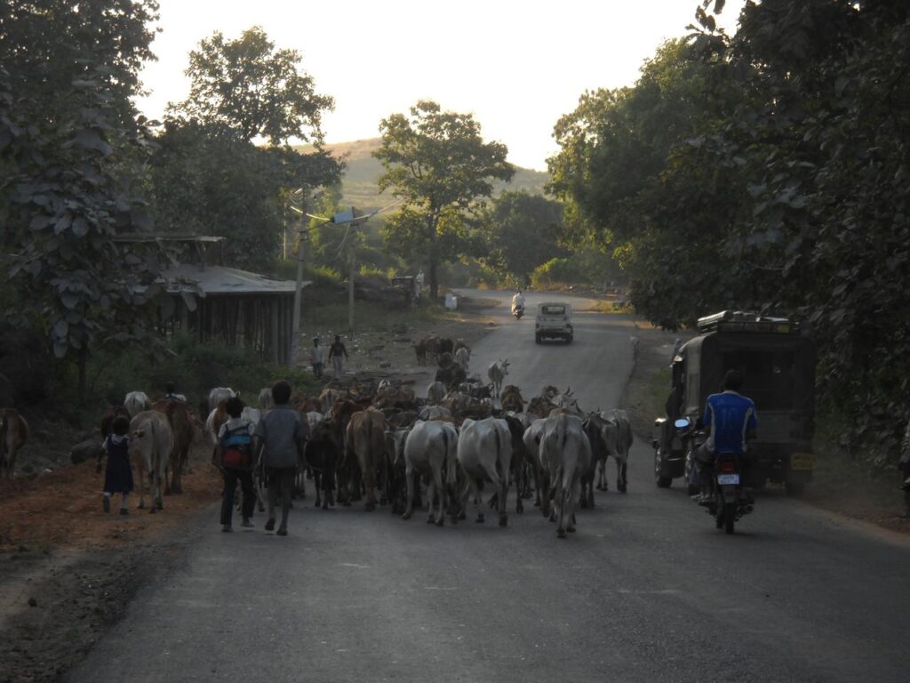 AskDushyant life is simple but beautiful newton visit to home town of my father madhya pradesh india Year 2009