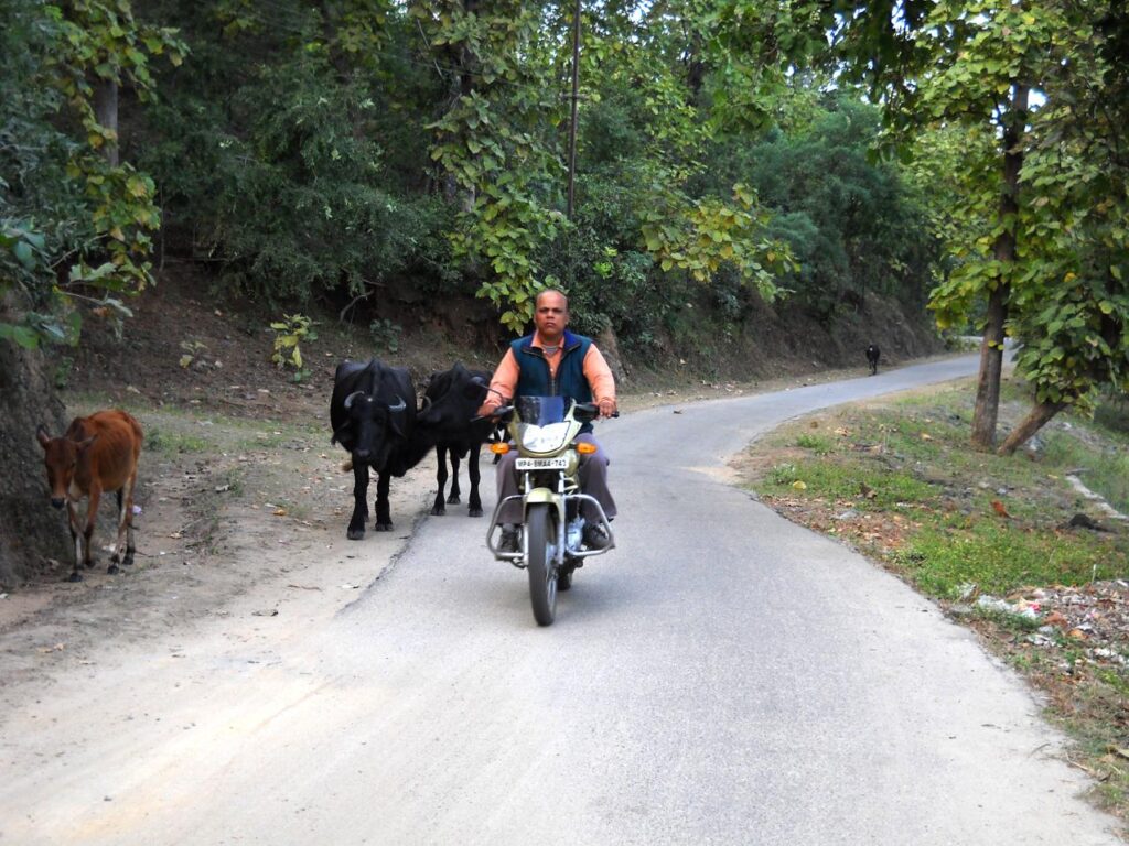 AskDushyant sarni route towards satpura dam Year 2009