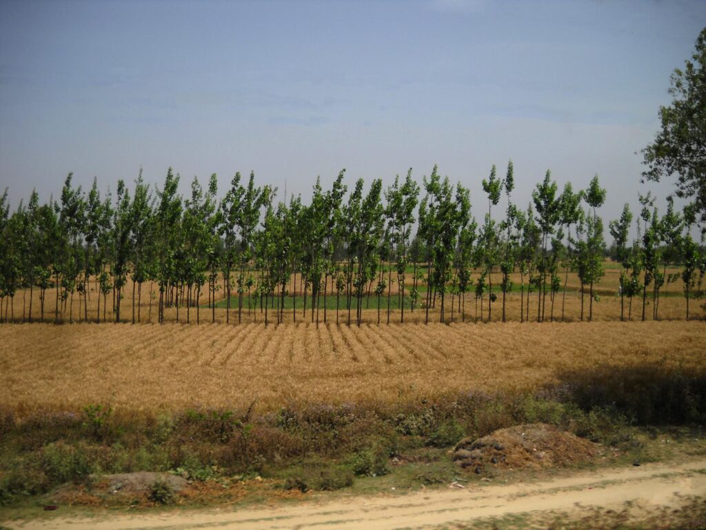 AskDushyant some beautiful farmland view a memorable trip to nainital ranikhet n nepal Year 2011