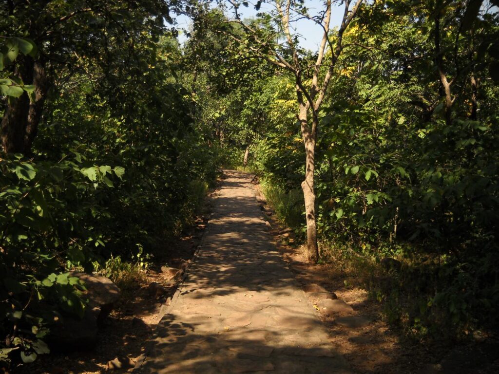 AskDushyant way to zoo shelter bhimbetka an archaeological treasure of ancient india road trip to bhimbetka Year 2009