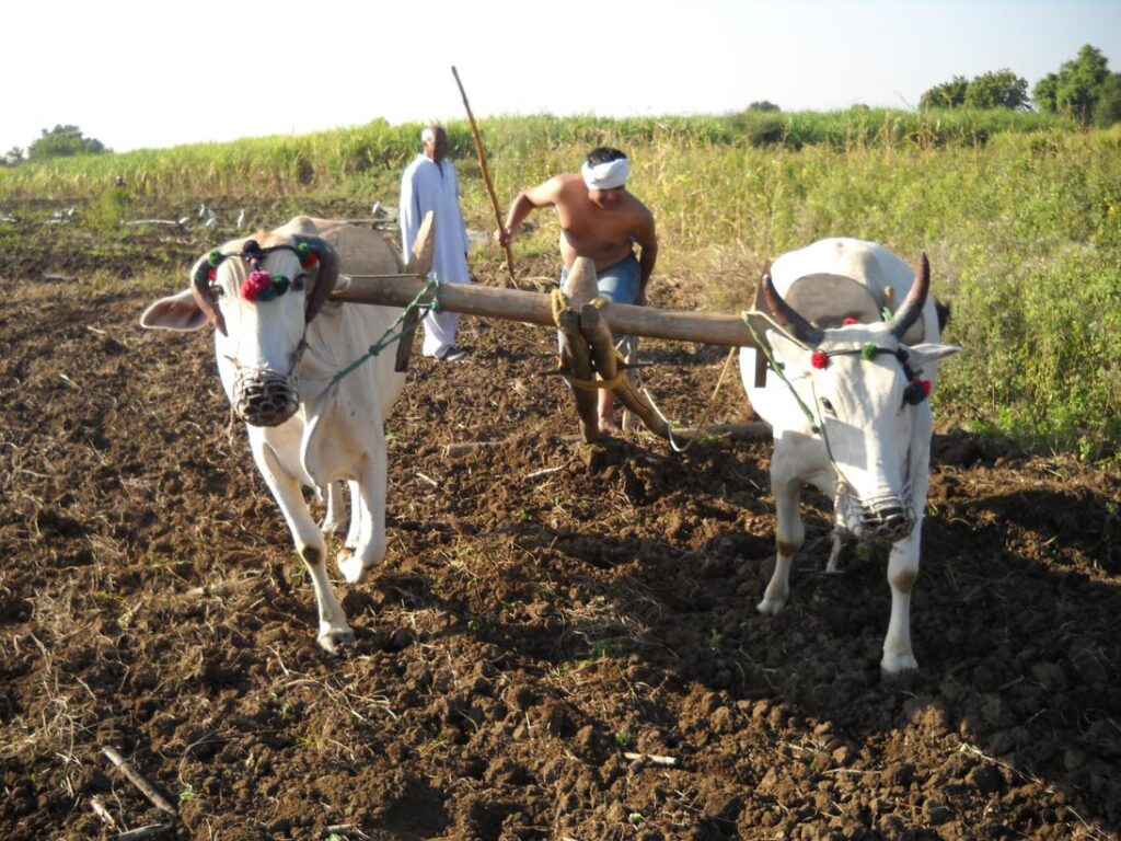 AskDushyant amazing hard to plough land living life of a farmer year 2009 farm memoir