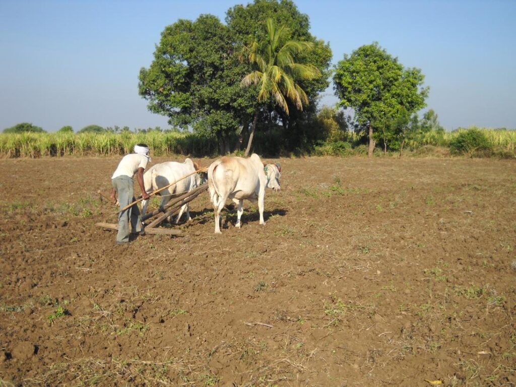 AskDushyant amazing lots of hard work require to plough a piece of land living life of a farmer year 2009 farm memoir