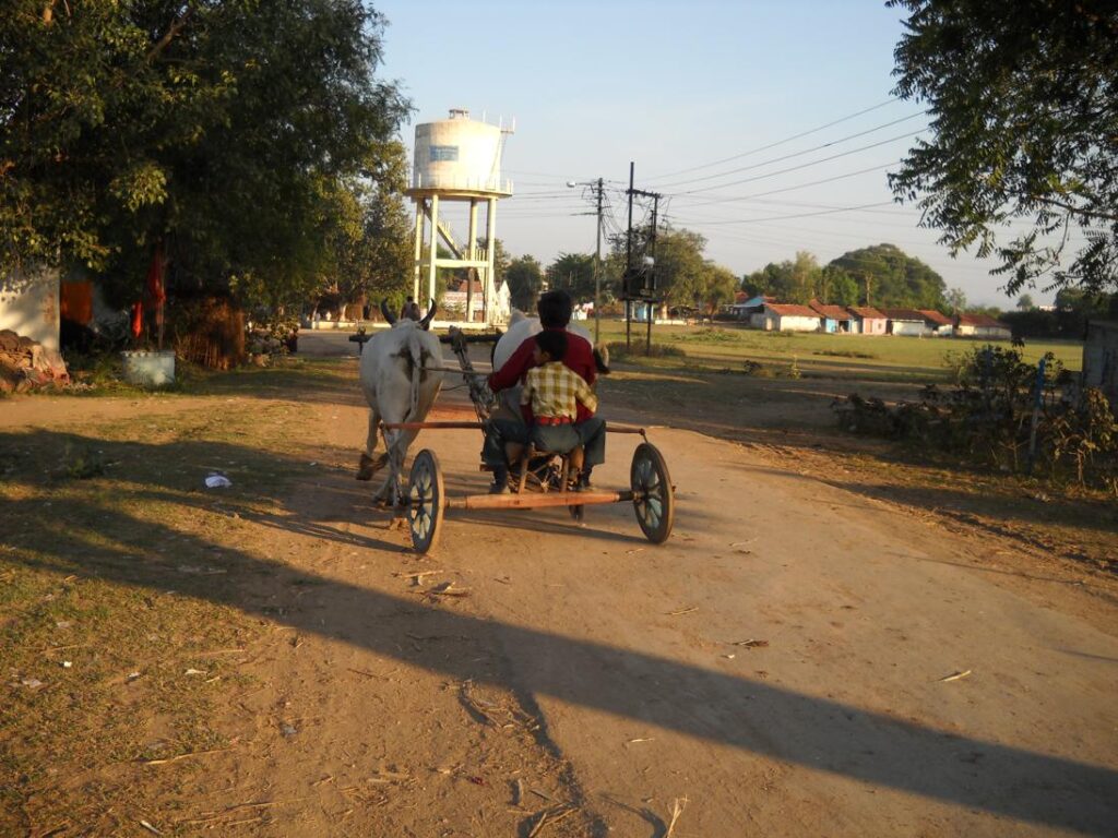 AskDushyant bullock cart amazing i thought these are history living life of a farmer year 2009 farm memoir