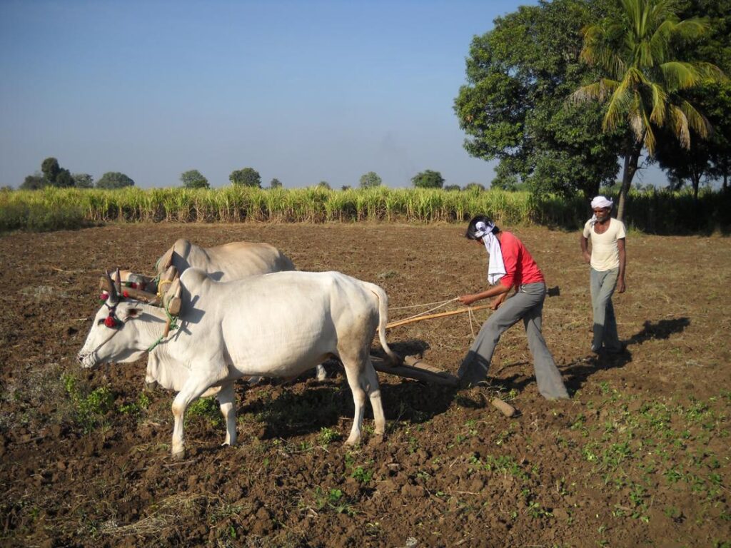 AskDushyant careful easy and thats it you learned it year 2009 farm memoir