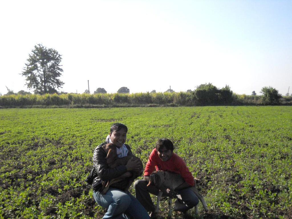 AskDushyant caught a lamb living life of a farmer year 2009 farm memoir