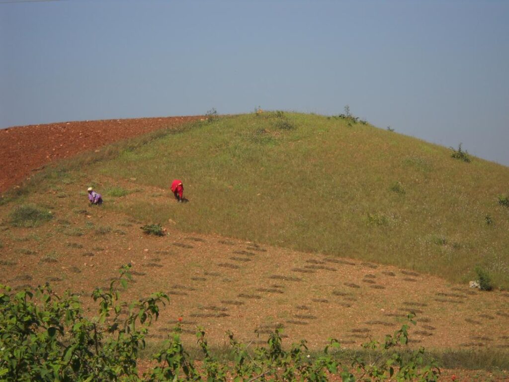 AskDushyant farming place free from concrete jungle in cities sarni to mohad kareli bike trip to meet relatives year 2009 sarni to mohad bike ride memoir