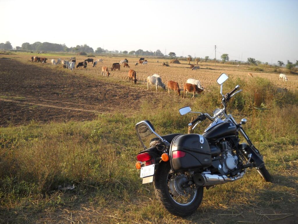 AskDushyant farmland of madhya pradesh sarni to mohad kareli bike trip to meet relatives year 2009 sarni to mohad bike ride memoir