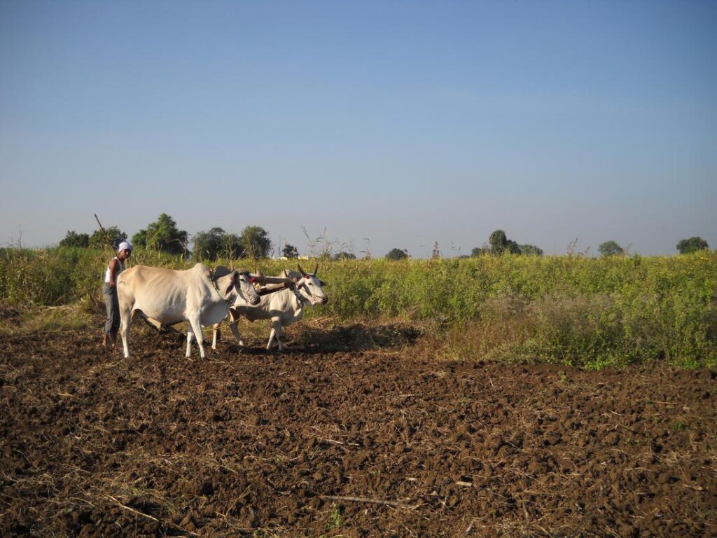 AskDushyant learn how to plough the land living life of a farmer year 2009 farm memoir