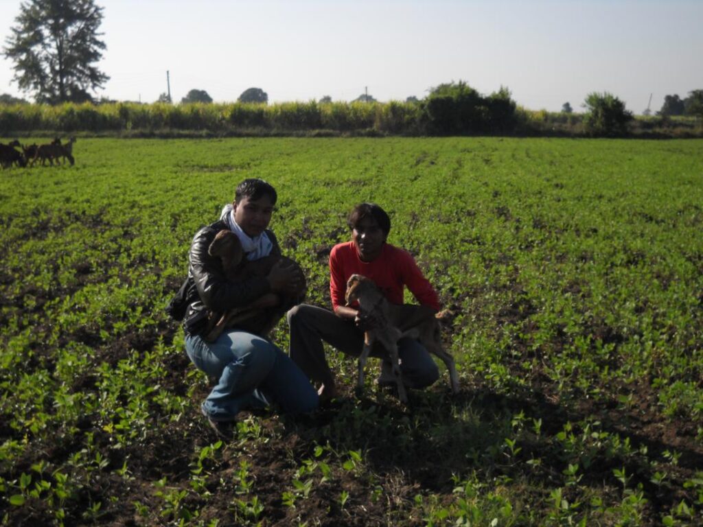 AskDushyant living life of a farmer year 2009 farm memoir 1