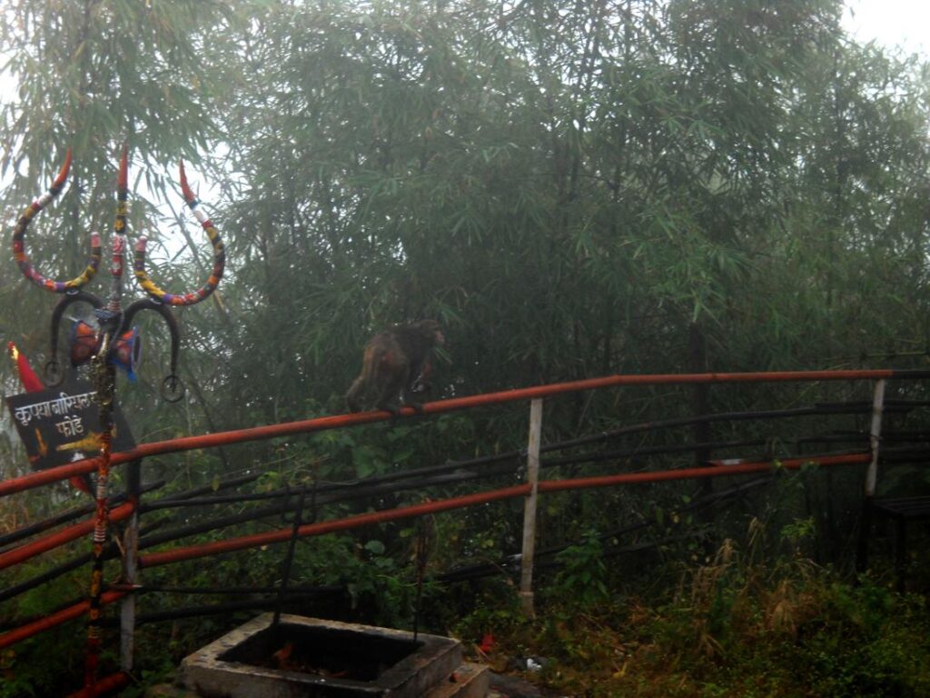 AskDushyant sarni at top with monkey mathar dev baba my beautiful home town madhya pradesh india year 2009 mathardev trek memoir