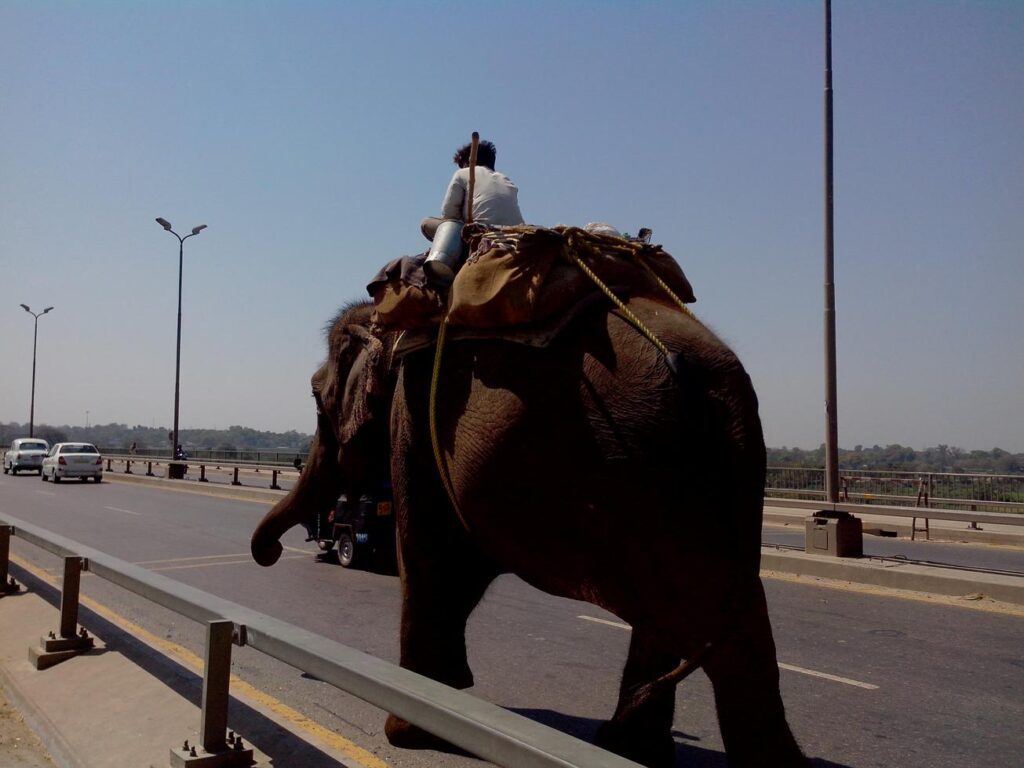 AskDushyant spiritual vibe gajraj hathi kumbh mela naini allahabad bike trip mahakumbh 2013 memoir