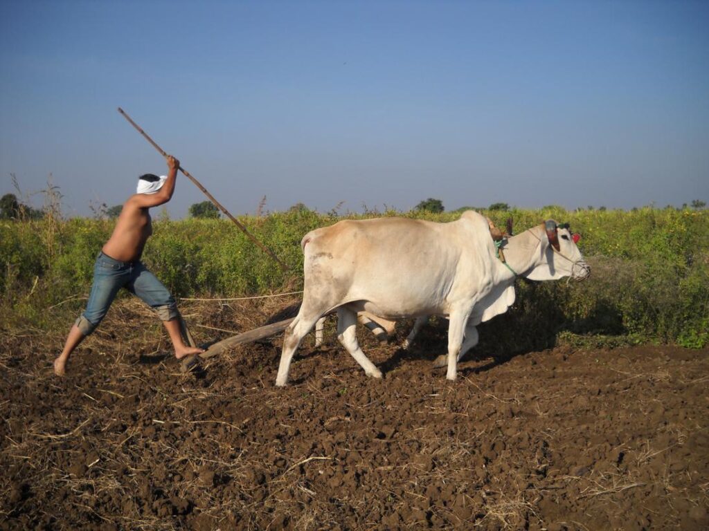 AskDushyant thats me go on lot sof land still remains living life of a farmer year 2009 farm memoir