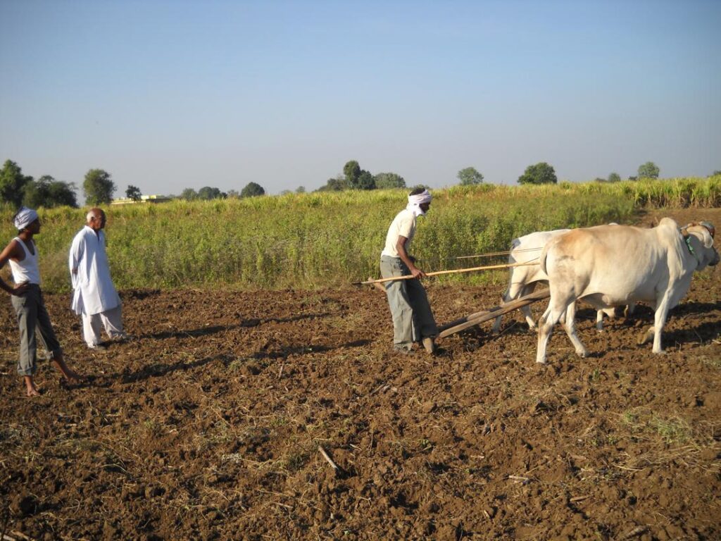 AskDushyant time for farmer to do their work living life of a farmer year 2009 farm memoir