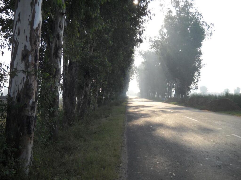 AskDushyant bright road ahead delhi to sarni madhya pradesh year 2009 gurgaon bhopal bike ride memoir