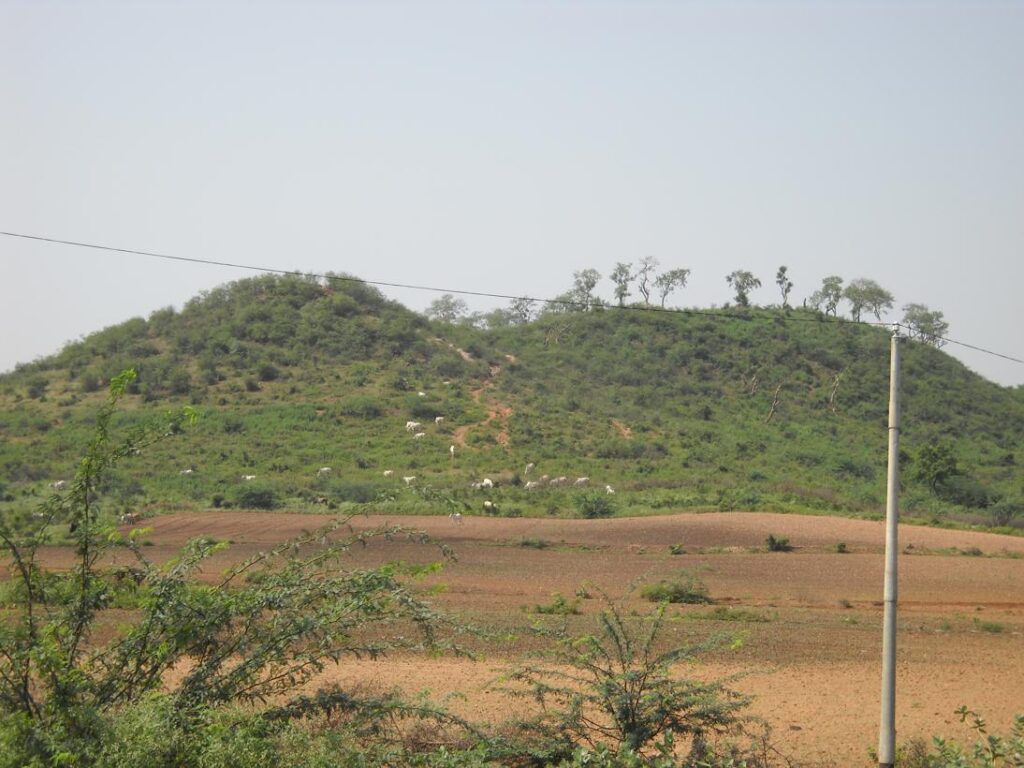 AskDushyant farms and cattles delhi to sarni madhya pradesh year 2009 gurgaon bhopal bike ride memoir