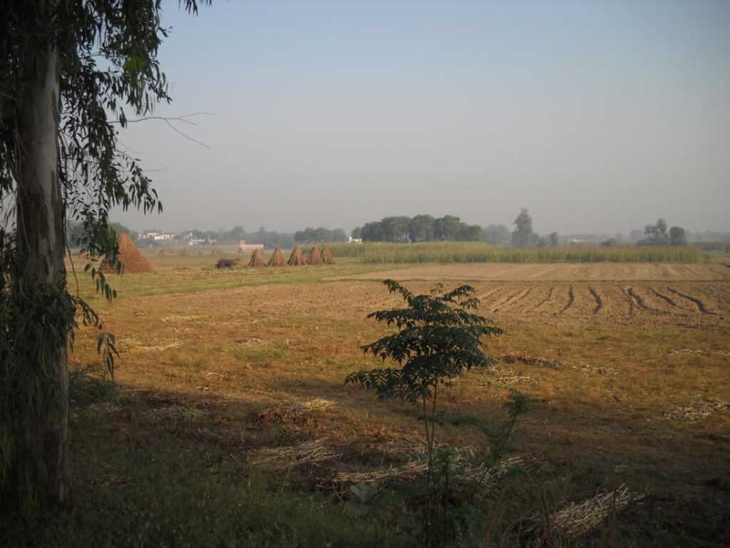 AskDushyant harvesting season delhi to sarni madhya pradesh year 2009 gurgaon bhopal bike ride memoir