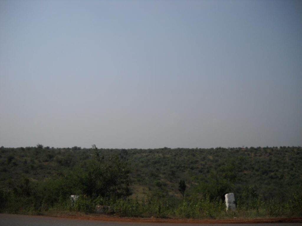 AskDushyant jungle near shivpuri delhi to sarni madhya pradesh year 2009 gurgaon bhopal bike ride memoir