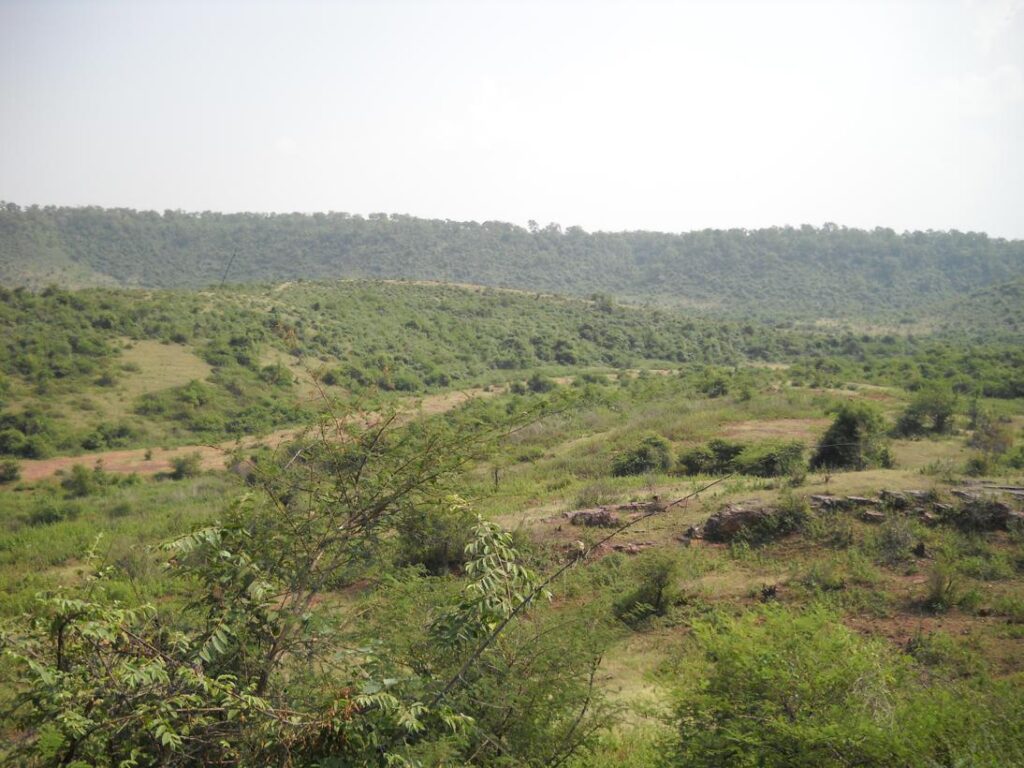 AskDushyant jungle of shivpuri delhi to sarni madhya pradesh year 2009 gurgaon bhopal bike ride memoir