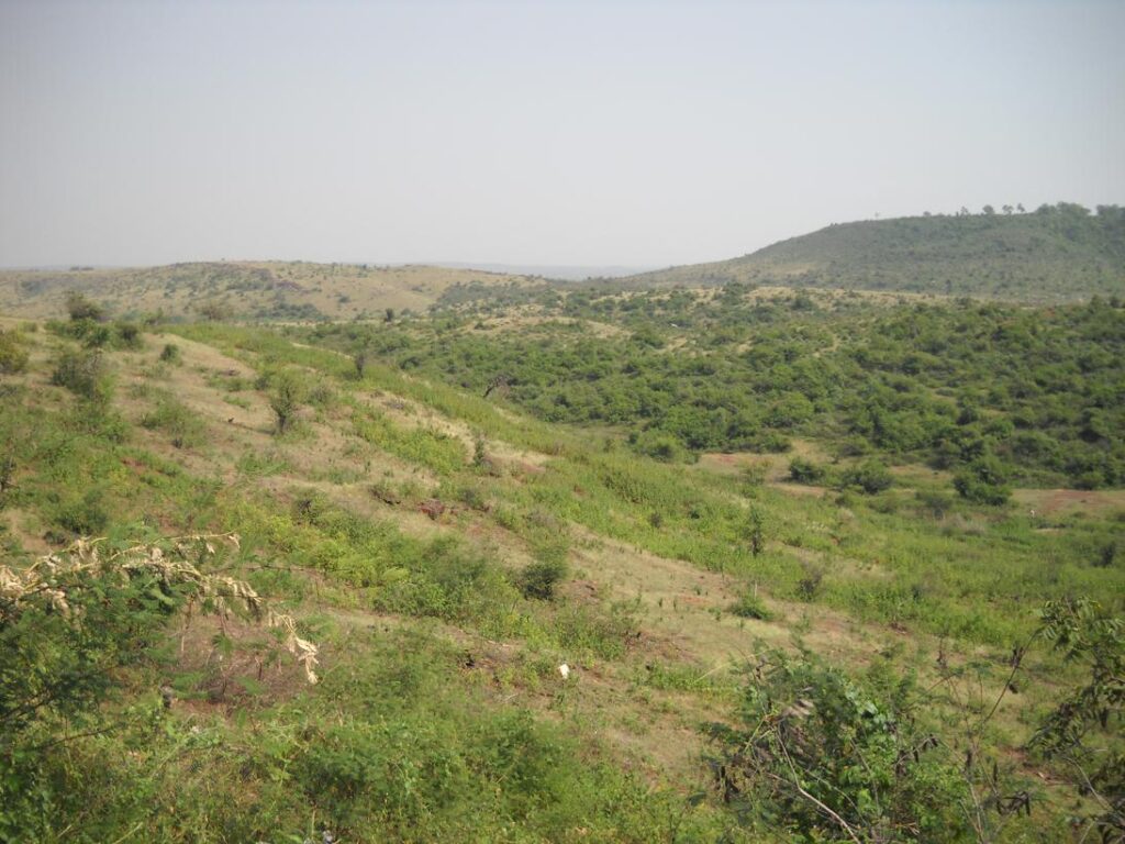 AskDushyant jungle view shivpuri delhi to sarni madhya pradesh year 2009 gurgaon bhopal bike ride memoir