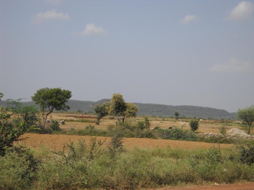 AskDushyant madav national park far away delhi to sarni madhya pradesh year 2009 gurgaon bhopal bike ride memoir